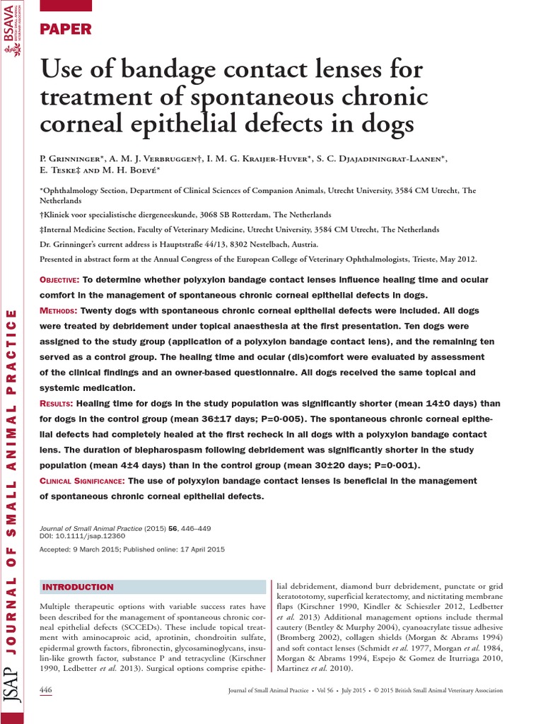 Use of Bandage Contact Lenses For Treatm PDF Contact Lens Cornea