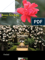 Roses Are Rosy