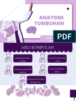 Anatomi Akar