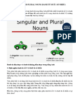 Singular and Plural Nouns