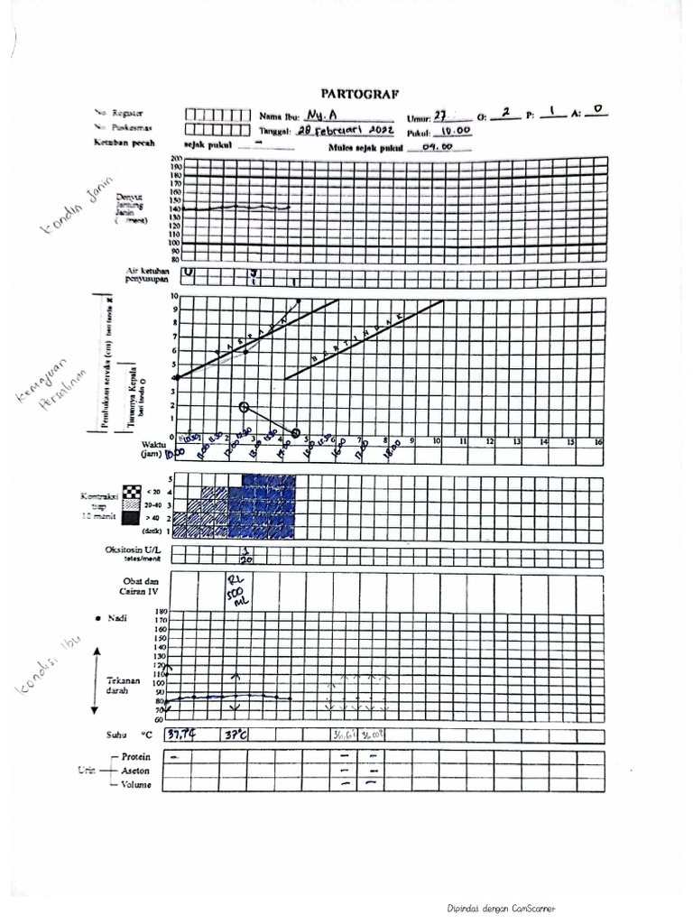 Patograf Kehamilan Kasus 2 | PDF