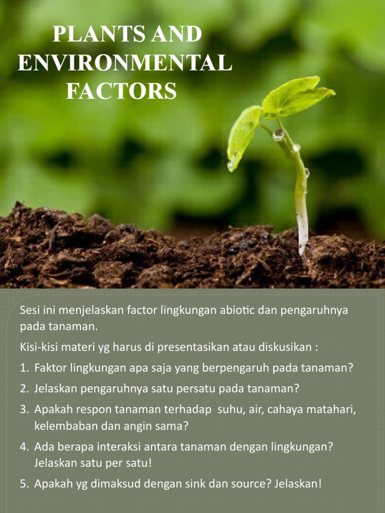 Plants and Environment Factors-2020 | PDF | Photosynthesis | Nutrients