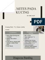 Kasus 1 - EAR MITES PADA KUCING