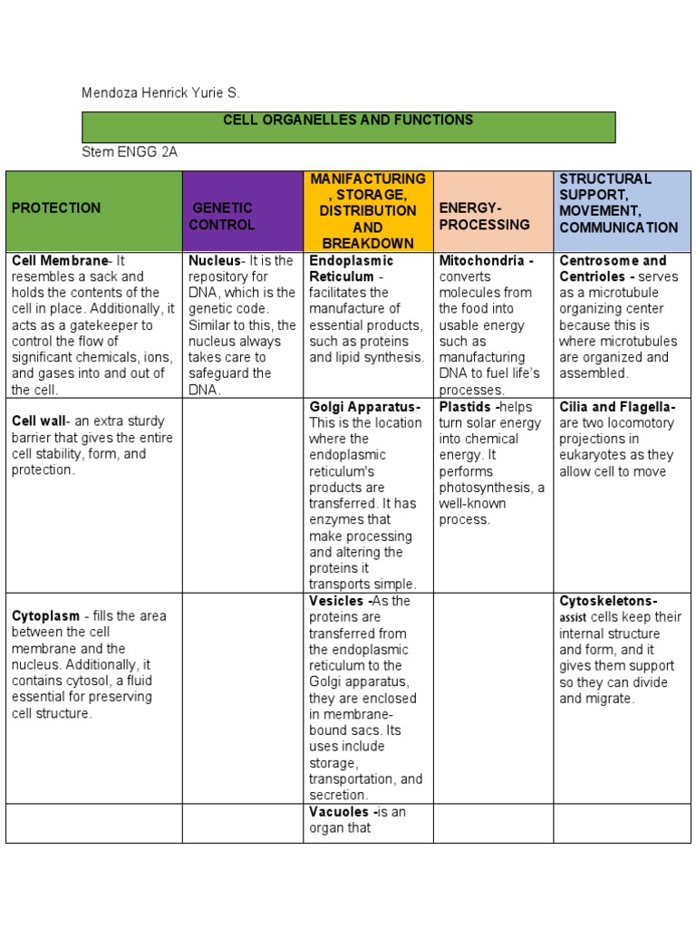 CELL STRUCTURE AND FUNCTIONS PDF visual data 4
