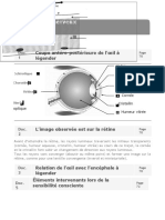 SYSTEME NERVEUX SIGMA 22 22 CORRIGé