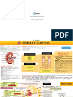 Fisiologia Renal La Nefrona Que Pasa en Cada Segmento 174570 Downloable 276039