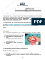 Actividad Integradora - Sutura