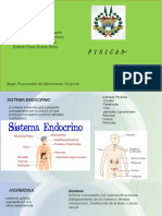 Presentación Sistema Endocrino y Urinario 2