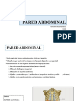 Pared Abdominal - Cirugia General
