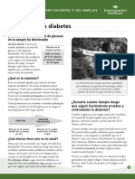 Diabetes in Remission Fact Sheet Spanish