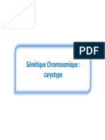 001 - Génétique Chromosomique - Caryotype