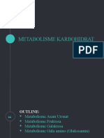 Metabolisme Karbohidrat PPTX