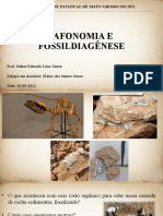 Aula 2 - Tafonomia e Fossildiagênese