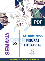 Figuras Literarias - Material Practico