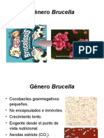 Diapositivas Tema 16. Género Brucella. Género Legionella