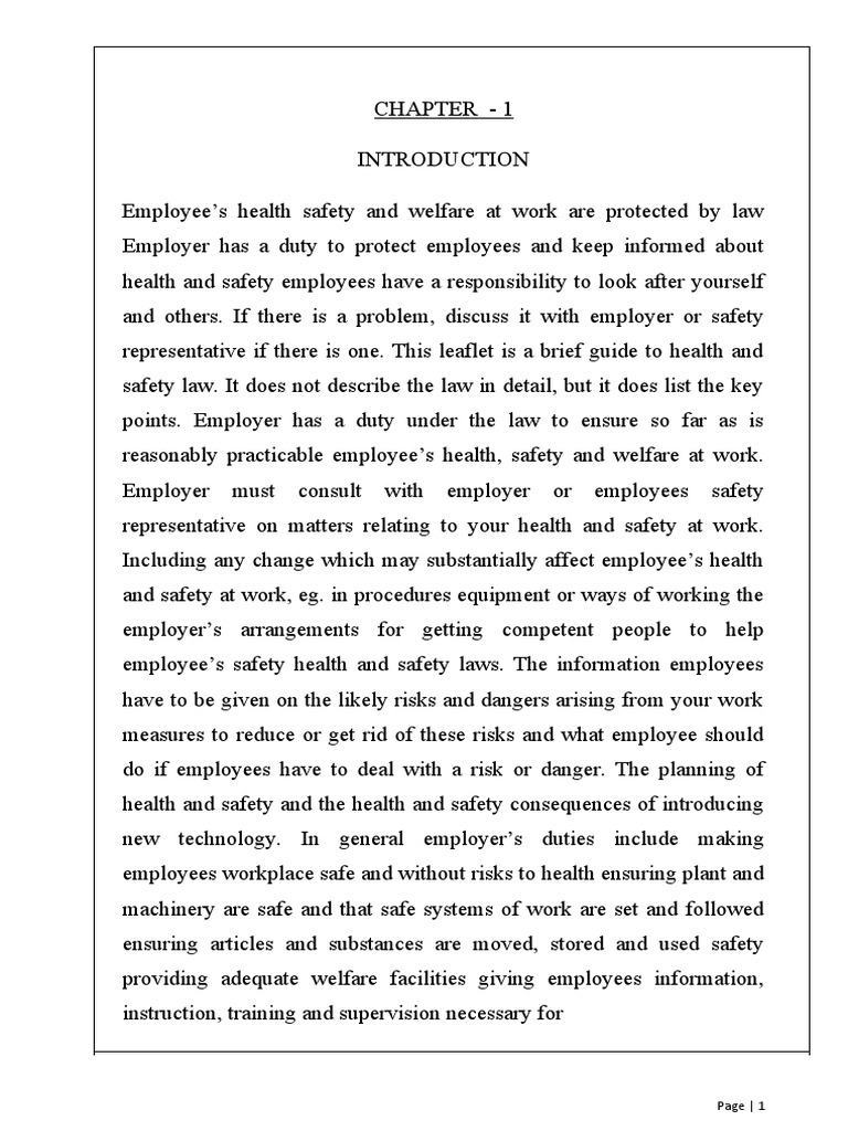 MariyaEmployee Health and Safety Measures PDF Occupational Safety