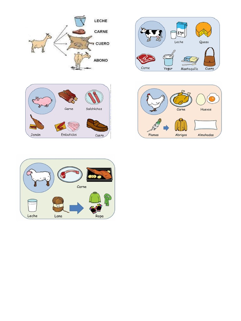 Animales de La Granja | PDF