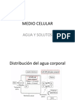 Agua, Electrolitos y Acido-Base