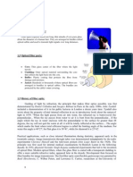 Fiber Optic System