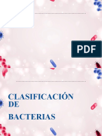 Exposicion de Biologia Bacterias
