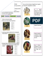 Ficha Ciencia - Relaciones Intra Especificas de Los Sers Vivos