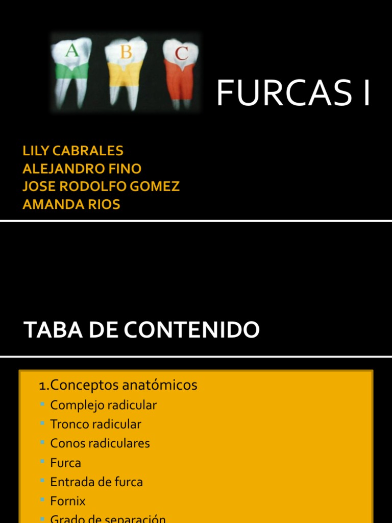 Anatomía y Compromiso de Furcas Dentales | PDF | Odontología | Ramas de ...