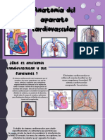 Anatomia Del Aparato Cardiovascular