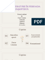 Proiectromanadesmecheri 3