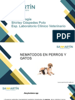 Nematodos de Perros y Gatos-Ancylostoma Spp.