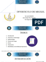 Diverticulo de Meckel 14.08.22