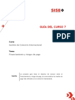 Guía 7