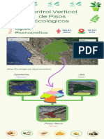 Región Yunga, Quechua y Suni de Huancavelica