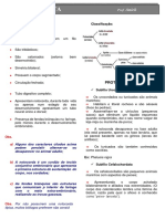 Filo Chordata-2º em