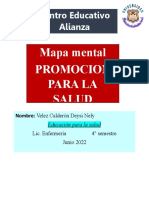 4 A Velez Calderon Mapa Mental Promocion para La Salud