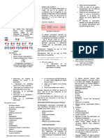 Correlatos Biologicos Del Comportamiento Humano Semana 1