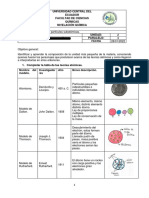 Experimentos de Átomos