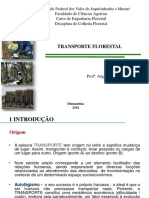 Transporte florestal: modalidades e logística