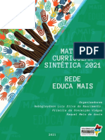 Matriz Curricular Sintética 2021