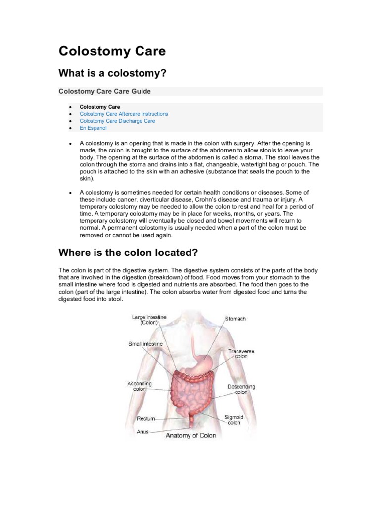 Colostomy Care Large Intestine Caregiver