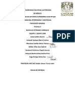 Músculo cardíaco: propiedades eléctricas y funcionamiento