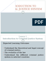 Lesson 1 - Introduction To Criminal Justice System