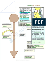 PDF Articulaciones de La Columna - Compress