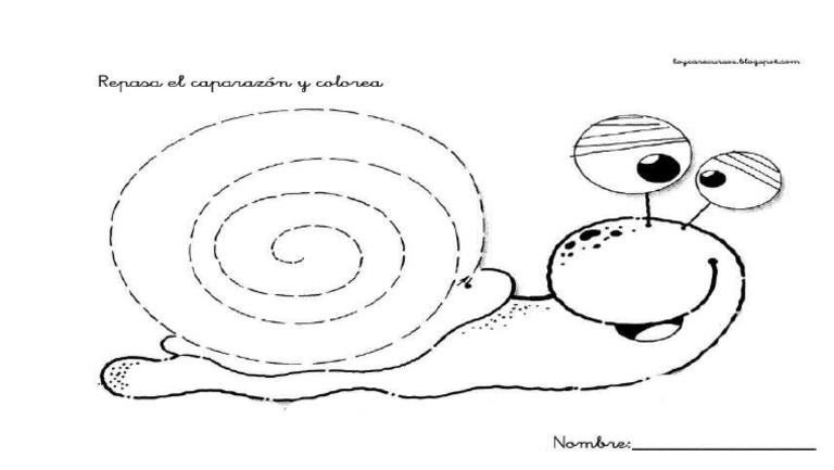 Caracol Motricidad | PDF