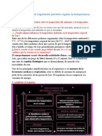 Explicamos Cómo El Organismo Permite Regular La Temperatura