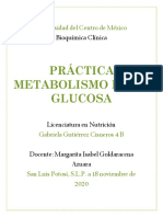 Practica Metabolismo de La Glucosa. Gutierrez Cisneros Gabriela.