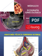 Ecografía ginecológica: técnica y hallazgos normales y patológicos