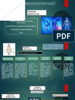 Sistema Articular