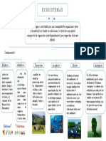 Eco Sistem As