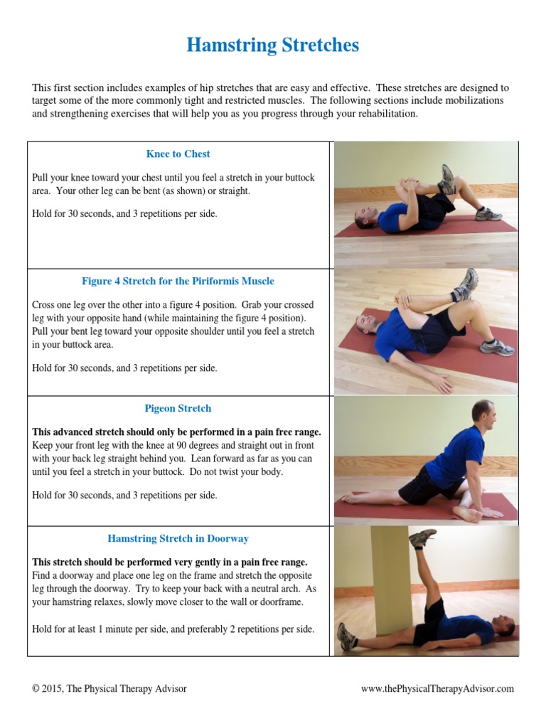 Hamstring Rehabilitation Exercises | PDF | Pelvis | Knee