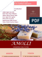 Proyecto Final Amolli